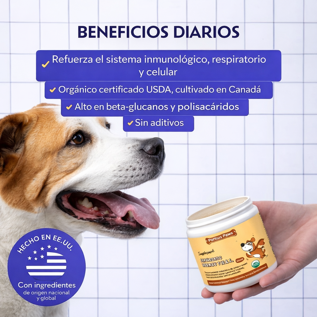 Turkey Tail - Polvo de Hongos Multivitamínico para Perros
