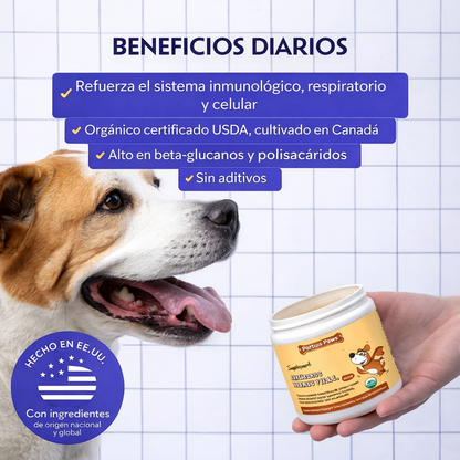 Turkey Tail - Polvo de Hongos Multivitamínico para Perros